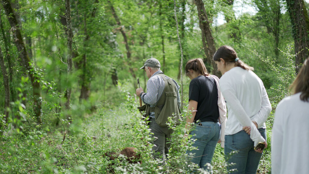 Truffle hunting vicino Siena: l’esperienza più autentica tra boschi, tradizione e degustazione Truffle Hunting vicino Siena: esperienza autentica Toscana